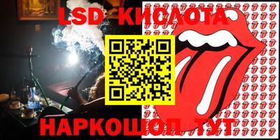 ПСИЛОЦИБИНОВЫЕ ГРИБЫ Можга