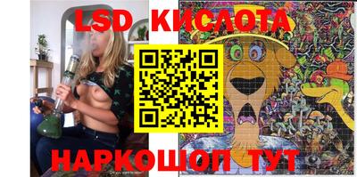 ПСИЛОЦИБИНОВЫЕ ГРИБЫ Можга
